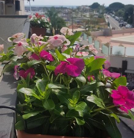 B&B La Costa Di Naxos Giardini Naxos Εξωτερικό φωτογραφία